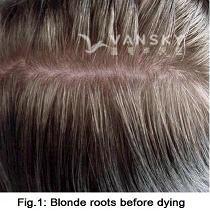 260804111107_Hair-Before Dying-s.jpg